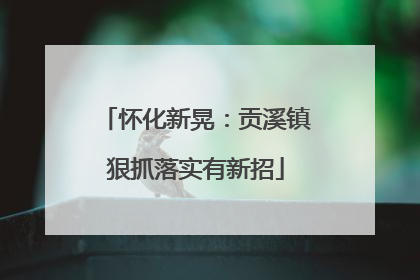 怀化新晃：贡溪镇狠抓落实有新招