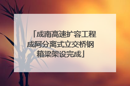 成南高速扩容工程成阿分离式立交桥钢箱梁架设完成