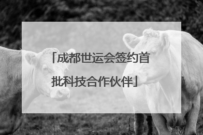 成都世运会签约首批科技合作伙伴