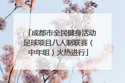 成都市全民健身活动足球项目八人制联赛（中年组）火热进行