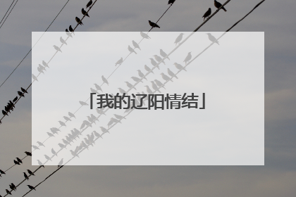 我的辽阳情结