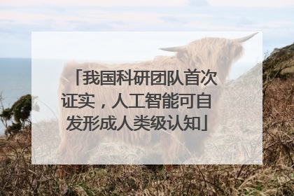 我国科研团队首次证实，人工智能可自发形成人类级认知