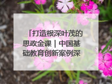 打造根深叶茂的思政金课｜中国基础教育创新案例深度观察③