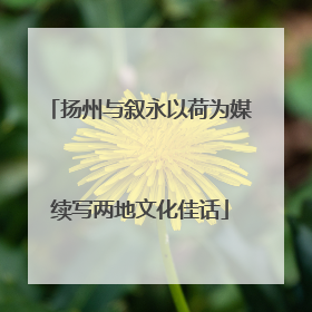 扬州与叙永以荷为媒续写两地文化佳话