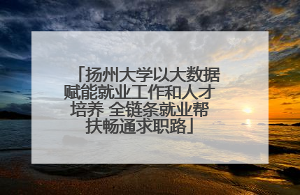 扬州大学以大数据赋能就业工作和人才培养 全链条就业帮扶畅通求职路