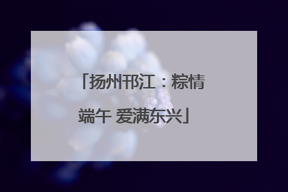 扬州邗江：粽情端午 爱满东兴