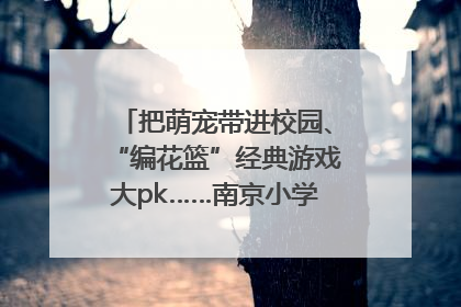 把萌宠带进校园、“编花篮”经典游戏大pk……南京小学花式“庆六一”