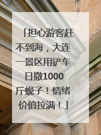 担心游客赶不到海，大连一景区用铲车日撒1000斤蚬子！情绪价值拉满！