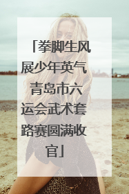 拳脚生风展少年英气 青岛市六运会武术套路赛圆满收官