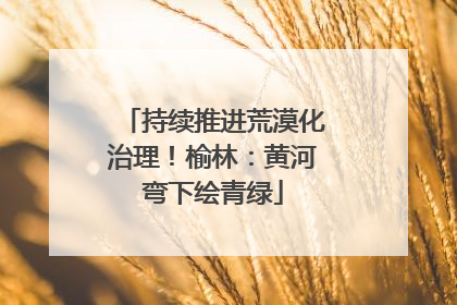 持续推进荒漠化治理！榆林：黄河弯下绘青绿
