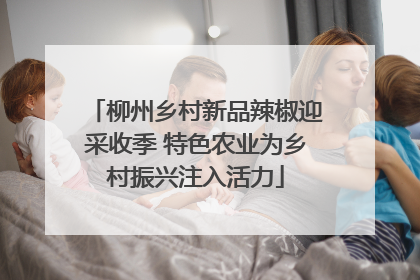 柳州乡村新品辣椒迎采收季 特色农业为乡村振兴注入活力