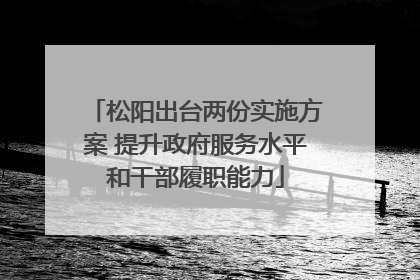 松阳出台两份实施方案 提升政府服务水平和干部履职能力