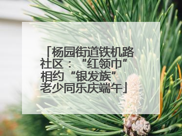 杨园街道铁机路社区：“红领巾”相约“银发族” 老少同乐庆端午