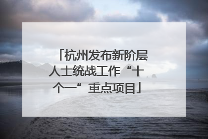 杭州发布新阶层人士统战工作“十个一”重点项目