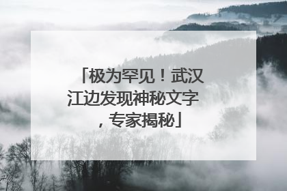 极为罕见！武汉江边发现神秘文字，专家揭秘