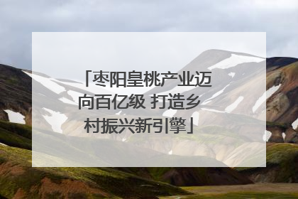 枣阳皇桃产业迈向百亿级 打造乡村振兴新引擎