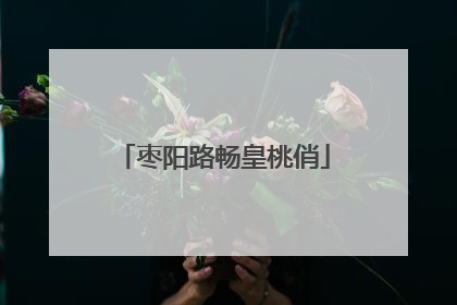枣阳路畅皇桃俏