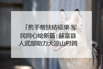 携手帮扶结硕果 军民同心绘新篇∣赫章县人武部助力大凉山村阔步乡村振兴路