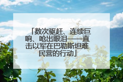 数次驱赶、连续巨响、呛出眼泪——直击以军在巴勒斯坦难民营的行动