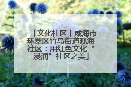 文化社区丨威海市环翠区竹岛街道观海社区：用红色文化“浸润”社区之美