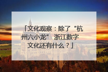 文化观察：除了“杭州六小龙” 浙江数字文化还有什么？