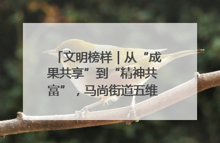 文明榜样｜从“成果共享”到“精神共富”，马尚街道五维聚力育文明