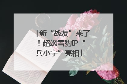 新“战友”来了！超飒雪豹IP“兵小宁”亮相