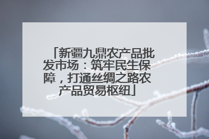新疆九鼎农产品批发市场：筑牢民生保障，打通丝绸之路农产品贸易枢纽