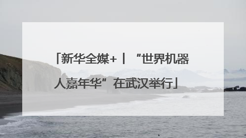 新华全媒+丨“世界机器人嘉年华”在武汉举行