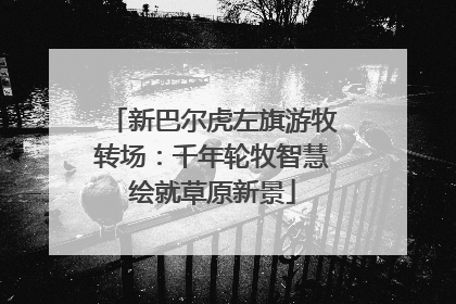 新巴尔虎左旗游牧转场：千年轮牧智慧绘就草原新景
