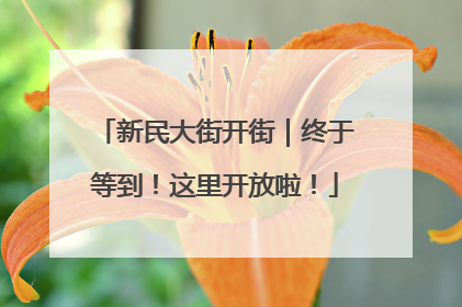 新民大街开街｜终于等到！这里开放啦！