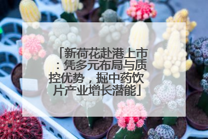新荷花赴港上市：凭多元布局与质控优势，掘中药饮片产业增长潜能