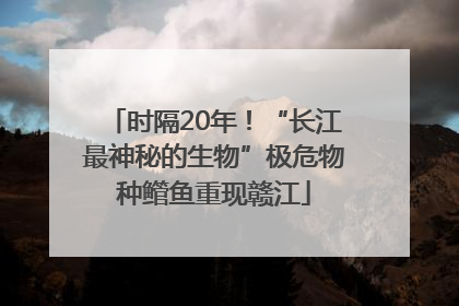 时隔20年！“长江最神秘的生物”极危物种鳤鱼重现赣江