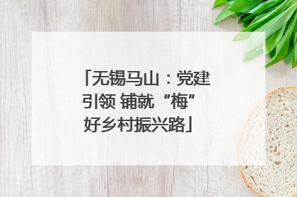 无锡马山：党建引领 铺就“梅”好乡村振兴路