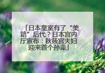 日本皇室有了“美籍”后代？日本宫内厅宣布：秋筱宫夫妇迎来首个孙辈