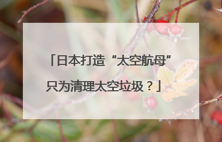 日本打造“太空航母”只为清理太空垃圾？