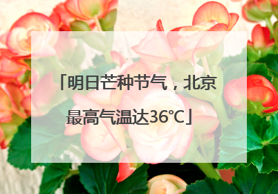 明日芒种节气，北京最高气温达36℃