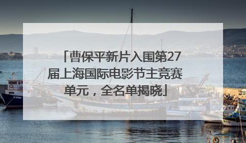 曹保平新片入围第27届上海国际电影节主竞赛单元，全名单揭晓