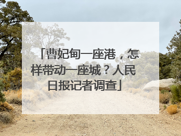 曹妃甸一座港，怎样带动一座城？人民日报记者调查