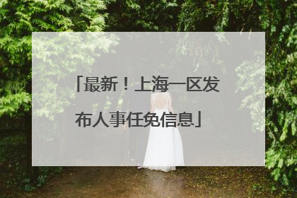 最新！上海一区发布人事任免信息