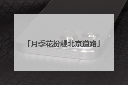 月季花扮靓北京道路