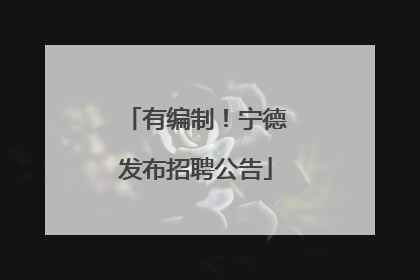 有编制！宁德发布招聘公告
