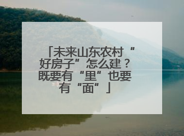 未来山东农村“好房子”怎么建？既要有“里”也要有“面”