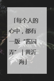 每个人的心中，都有一版“酱园弄”｜黄沂海