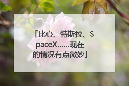 比心、特斯拉、SpaceX……现在的情况有点微妙