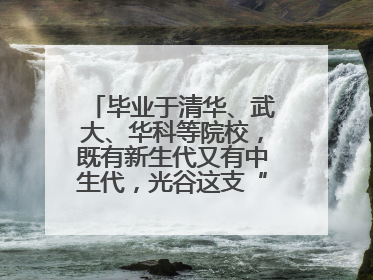 毕业于清华、武大、华科等院校，既有新生代又有中生代，光谷这支“理工男团”为何“出道”？