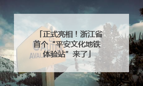 正式亮相！浙江省首个“平安文化地铁体验站”来了