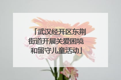 武汉经开区东荆街道开展关爱困境和留守儿童活动