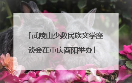 武陵山少数民族文学座谈会在重庆酉阳举办