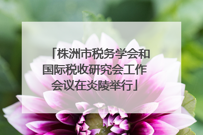 株洲市税务学会和国际税收研究会工作会议在炎陵举行
